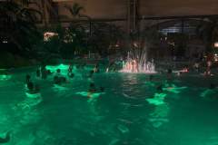 IMG-20191028-WA0009